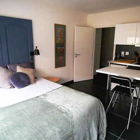 Au Centre, Cosy, Calme Et Spacieux Studio Moderne 아파트 스트라스부르