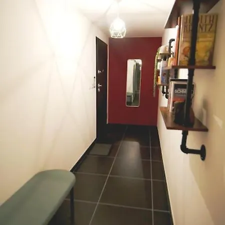 公寓 Au Centre, Cosy, Calme Et Spacieux Studio Moderne 斯特拉斯堡